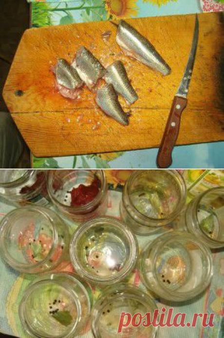Консервы из речной рыбы в масле и томате. С фотографиями. Готовим дома. | Путешествие по Карелии