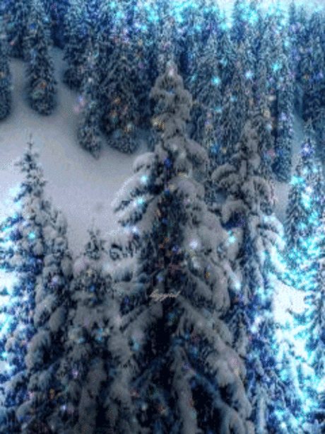 1098226.gif (240×320)