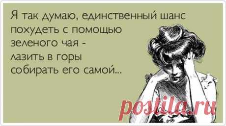 Веселые Аткрытки (10 фото) . Тут забавно !!!