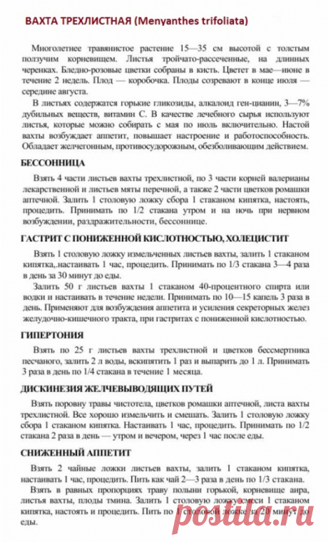 Вахта трехлистная (трифоль).
Травник. Золотые рецепты народной медицины. Универсальный справочник. Москва 2007