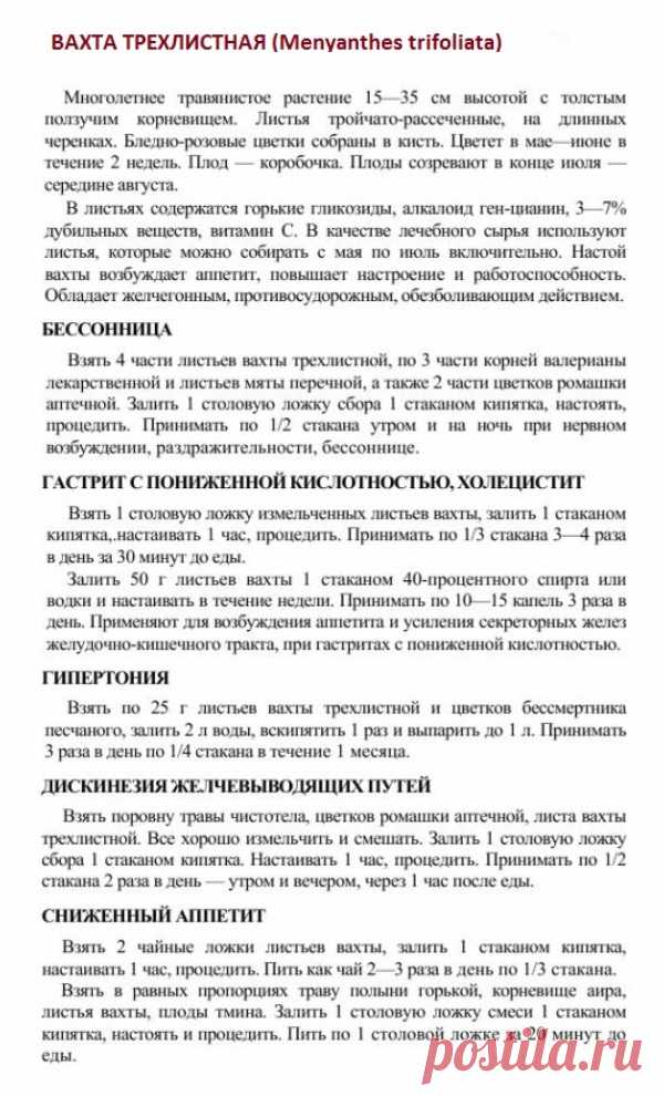 Вахта трехлистная (трифоль).
Травник. Золотые рецепты народной медицины. Универсальный справочник. Москва 2007