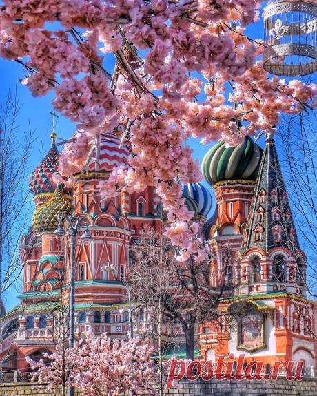 Лучшие События РУНЕТА ★