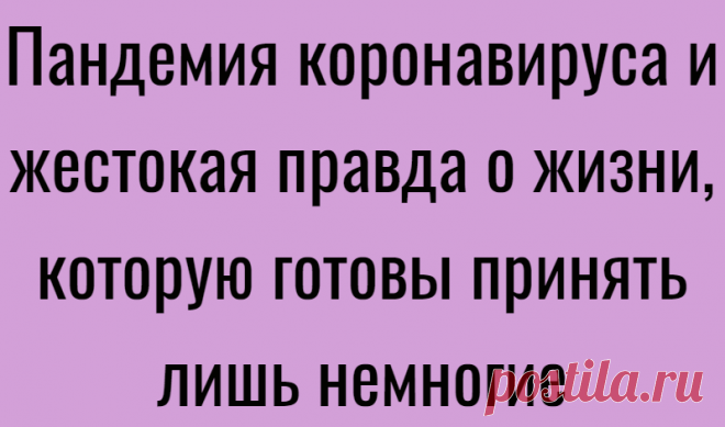 Пандемия коронавируса и жестокая правда о жизни, которую готовы принять лишь немногие
Я наблюдал за ходом манипуляции на экране монитора, пока хирург вводил катетер через кисть прямо мне в сердце. Он произнес «ага», и разместил два стента. Затем он ввел еще одну дозу контраста и на этот раз я увидел, как кровь наполняет нижнюю камеру сердца. Моя левая передняя нисходящая артерия была почти полностью заблокирована. Позже медсестра […]
Читай дальше на сайте. Жми подробнее ➡