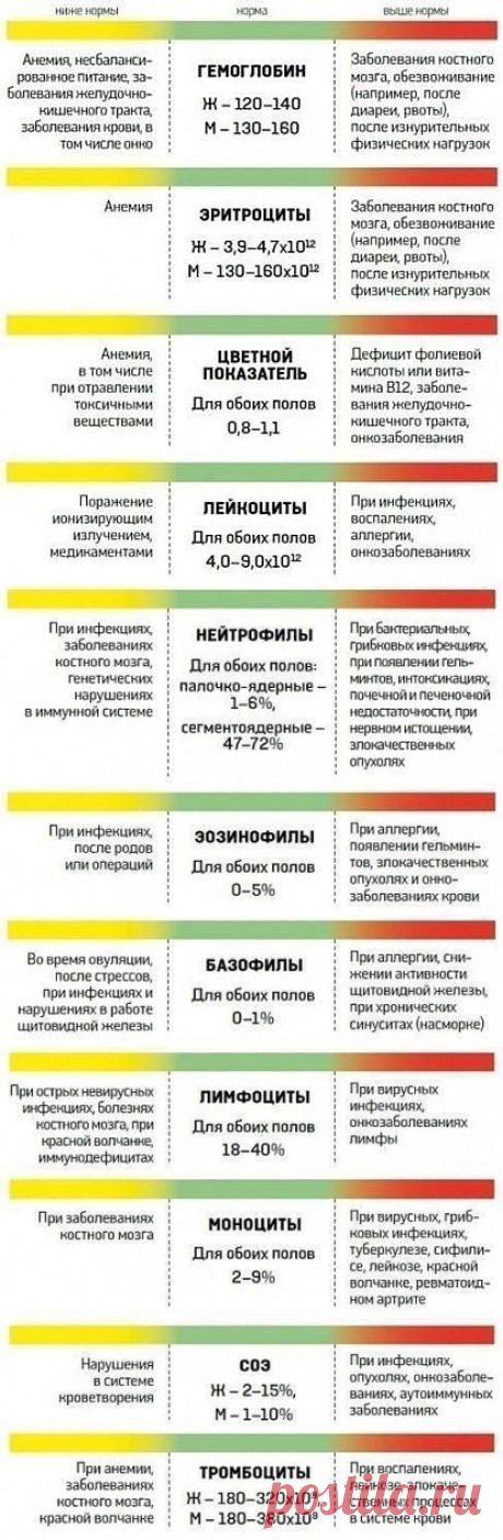 (79) Одноклассники