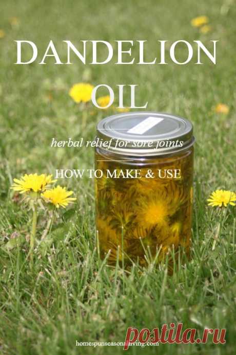Making and Using Dandelion Oil | Homespun Seasonal Living