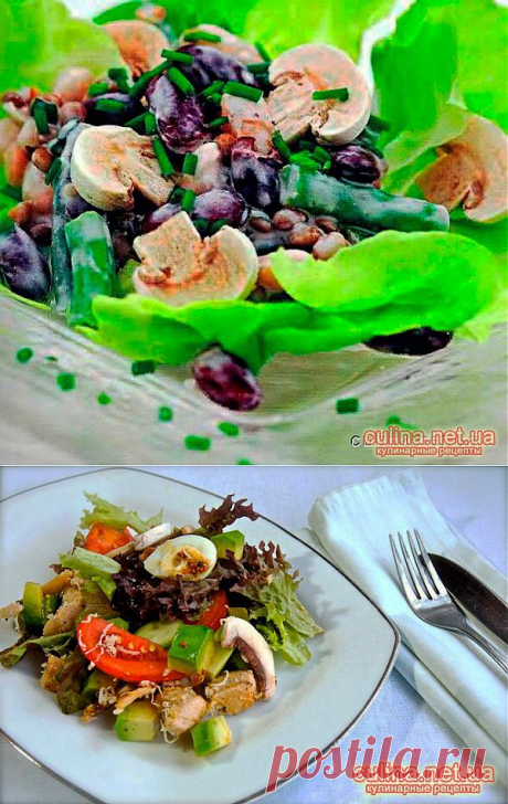 Салат из свежих шампиньонов | Кулинарные рецепты