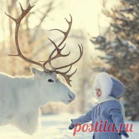 На Севере своя красота...