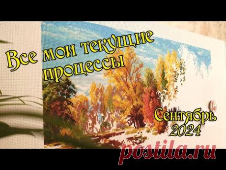 Все мои текущие процессы. Сентябрь 2024 года. Вышивка крестом.