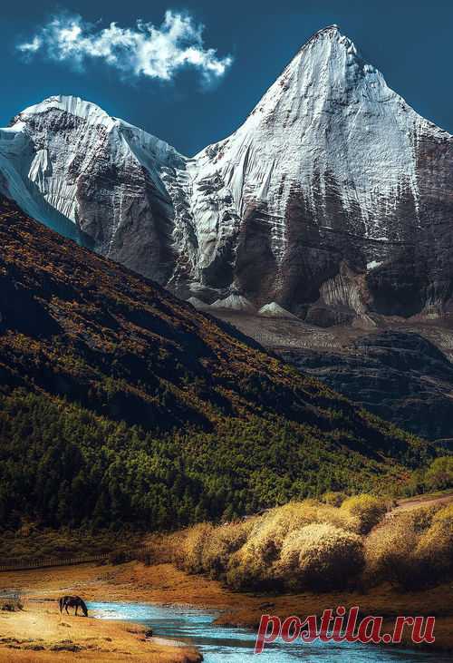 sunkissed-smile:
“via Imgfave for iPhone
”