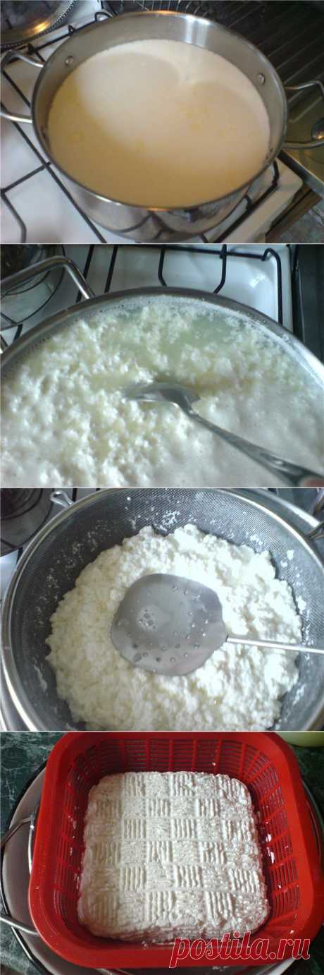 Адыгейский сыр - самый простой рецепт : Сыры