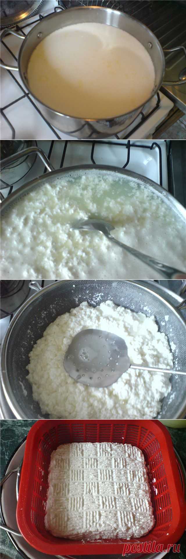 Адыгейский сыр - самый простой рецепт : Сыры