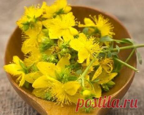 Целебные средства на основе зверобоя