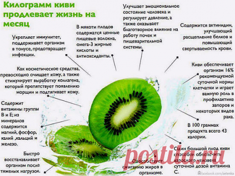 КИВИ 🥝

Небольшой и неприглядный на вид фрукт киви способен приносить огромную пользу для здоровья и защитить человека от множества болезней. Польза киви (китайского крыжовника) обусловлена его уникальным составом. Один киви обеспечивает человека суточной нормой витамина С, его в этом фрукте больше чем в апельсинах и других цитрусовых. Также киви содержит витамины Е, А, РР, группы В, калий, кальций, железо, магний, фосфор и множество других полезных веществ.

Полезные сво...