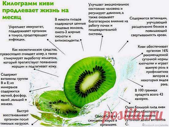 КИВИ 🥝

Небольшой и неприглядный на вид фрукт киви способен приносить огромную пользу для здоровья и защитить человека от множества болезней. Польза киви (китайского крыжовника) обусловлена его уникальным составом. Один киви обеспечивает человека суточной нормой витамина С, его в этом фрукте больше чем в апельсинах и других цитрусовых. Также киви содержит витамины Е, А, РР, группы В, калий, кальций, железо, магний, фосфор и множество других полезных веществ.

Полезные сво...