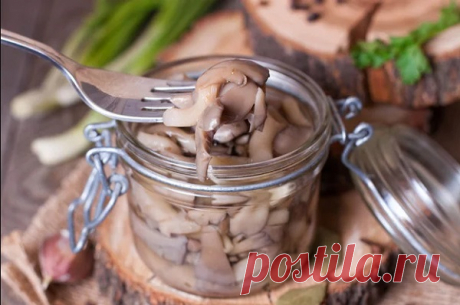 Рецепт маринованных вешенок — Кулинарная страничка