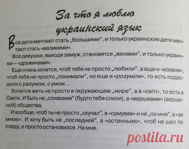 (100) Фото Хроники - Дмитрий Чекалкин
