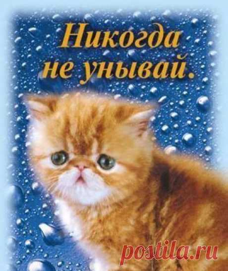 Интересные новости
