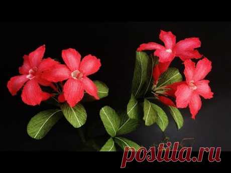 ABC TV | How To Make Adenium Obesum Paper Flower From Crepe Paper - Craft Tutorial