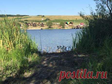 Толстолобик 4.2 кг / Богатая добыча