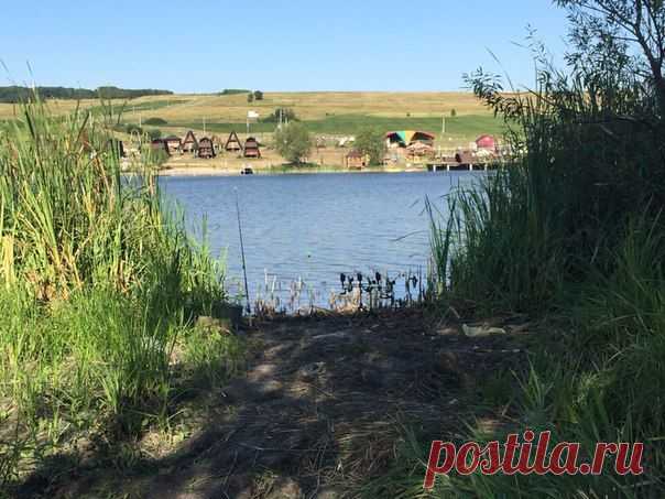 Толстолобик 4.2 кг / Богатая добыча