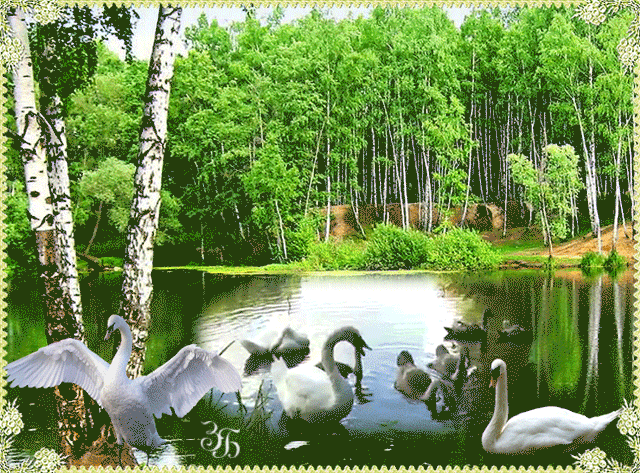 Плейкаст «***Любите братьев наших меньших...***»
