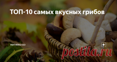 ТОП-10 самых вкусных грибов Собирать дары леса нужно внимательно, обходя стороной ядовитые экземпляры, готовить их правильно и с любовью, и тогда блюда эти получатся необыкновенно вкусными. А теперь о том, какие грибы лучше выбрать для своих кулинарных шедевров.
Бродить по лесу в поисках вкусных грибов – что может быть чудесней в солнечный осенний день? Но какие грибы самые вкусные, а значит, самые желанные в лукошке