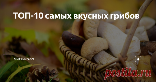 ТОП-10 самых вкусных грибов Собирать дары леса нужно внимательно, обходя стороной ядовитые экземпляры, готовить их правильно и с любовью, и тогда блюда эти получатся необыкновенно вкусными. А теперь о том, какие грибы лучше выбрать для своих кулинарных шедевров.
Бродить по лесу в поисках вкусных грибов – что может быть чудесней в солнечный осенний день? Но какие грибы самые вкусные, а значит, самые желанные в лукошке