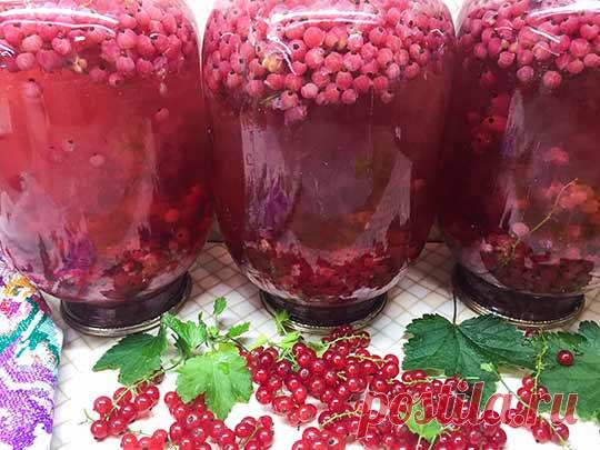 Компот из красной смородины - 8 рецептов на зиму