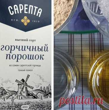Горчица - это русская еда! | Проще простого: Посоли да поперчи | Дзен