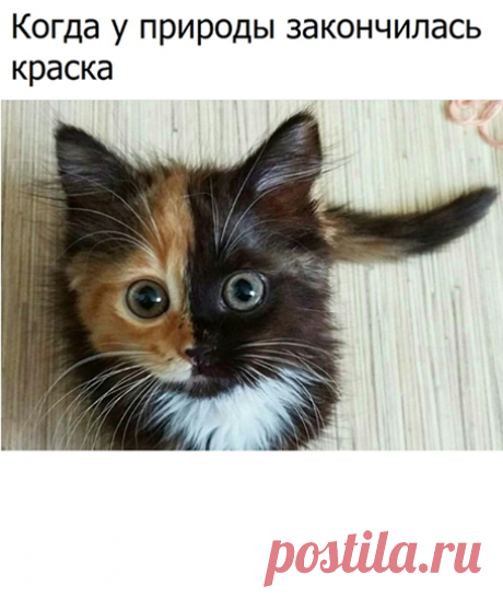 (12) Убойный юмор