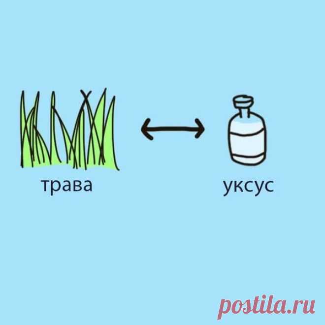 8 упрямых пятен, которые вы можете удалить с помощью простых предметов быта