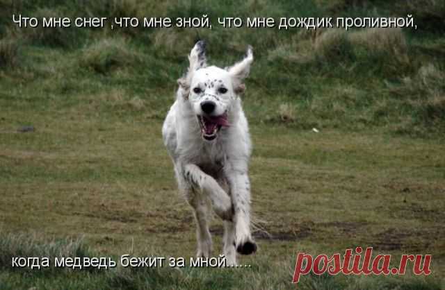 Куда без меня
