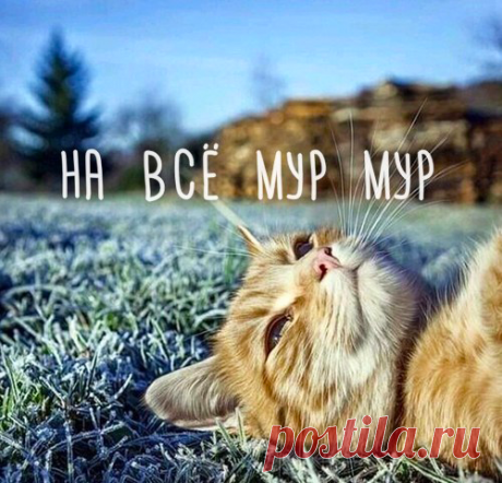 Истинного дзена пост :)