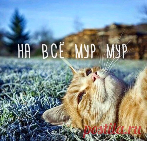 Истинного дзена пост :)