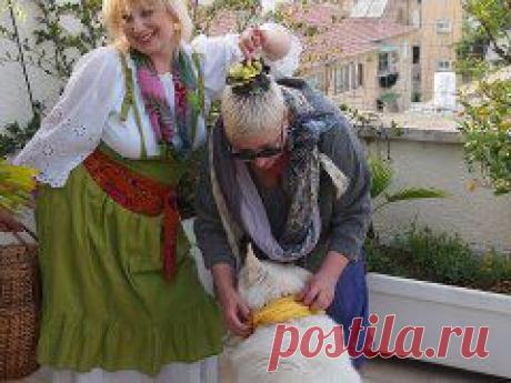 Бохо - это смешение нескольких стилистических направлений в моде, таких как хиппи, фольклор, сафари, милитари, этнические мотивы и даже винтаж.