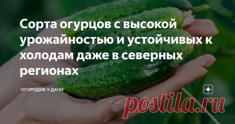 Сорта огурцов с высокой урожайностью и устойчивых к холодам даже в северных регионах Даже если вы живете в местности с суровыми климатическими условиями, это не значит что нужно отказываться от выращивания огурцов.
Благо, современные селекционеры вывели гибридные сорта, выдерживающие довольно низкие температуры (+2...+3 градуса). В сегодняшней публикации мы ознакомим вас с холодостойкими сортами огурчиков, имеющие высокую урожайность.
Фото из открытого источника Яндекс, без