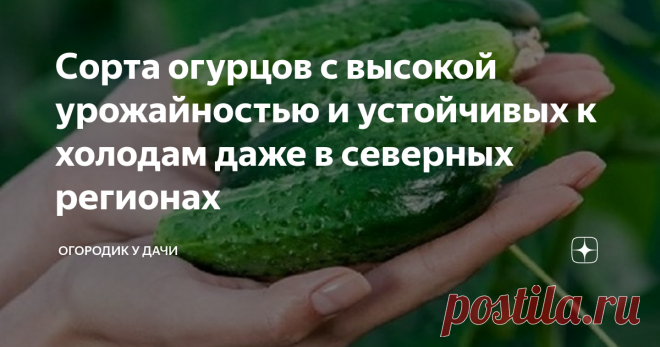 Сорта огурцов с высокой урожайностью и устойчивых к холодам даже в северных регионах Даже если вы живете в местности с суровыми климатическими условиями, это не значит что нужно отказываться от выращивания огурцов.
Благо, современные селекционеры вывели гибридные сорта, выдерживающие довольно низкие температуры (+2...+3 градуса). В сегодняшней публикации мы ознакомим вас с холодостойкими сортами огурчиков, имеющие высокую урожайность.
Фото из открытого источника Яндекс, без