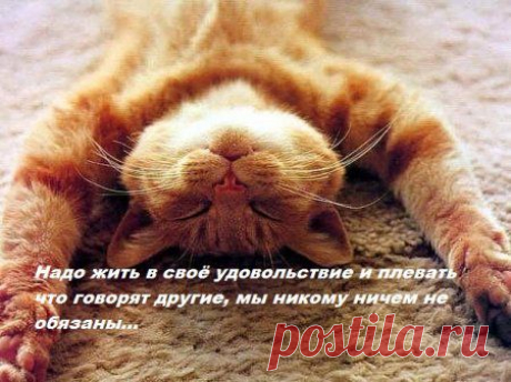 Берём картинки, плюс чьи-то мысли….