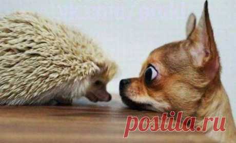 Google+