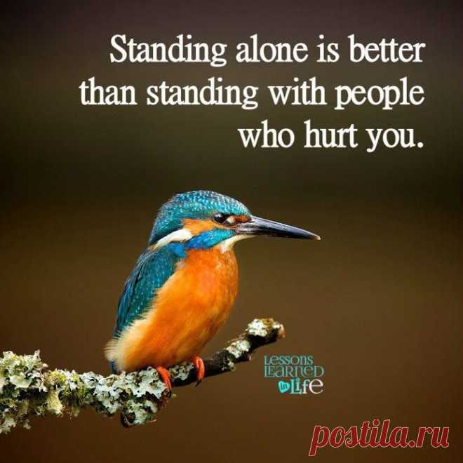 Timeline Photos - Lessons Learned In Life