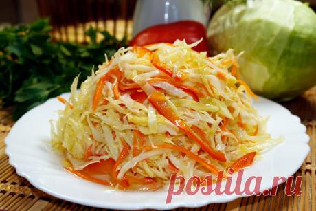 Самые вкусные и простые блюда из капусты: сейчас для них самое время | Мастерская идей | Яндекс Дзен
