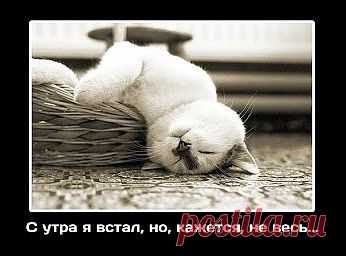 утро