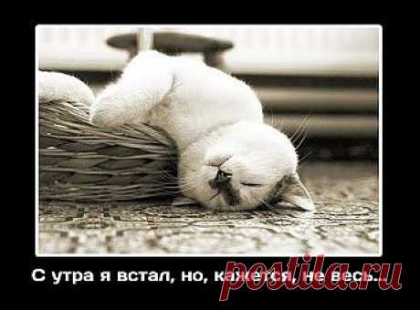 утро