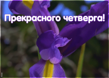 Прекрасного четверга