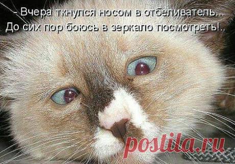 ((((Положительное Настроение))))
Петр Рубашкин