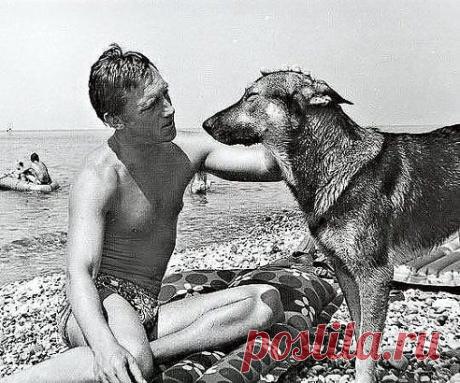 Одноклассники