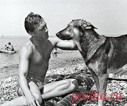 Одноклассники