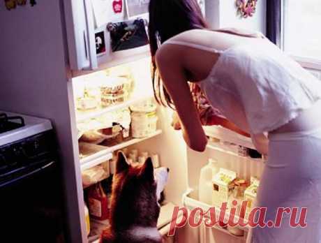 Что же съесть на ночь, чтобы похудеть? — ДОМАШНИЕ