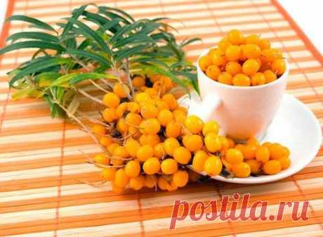 10 полезных свойств облепихи | Domosedkam.ru