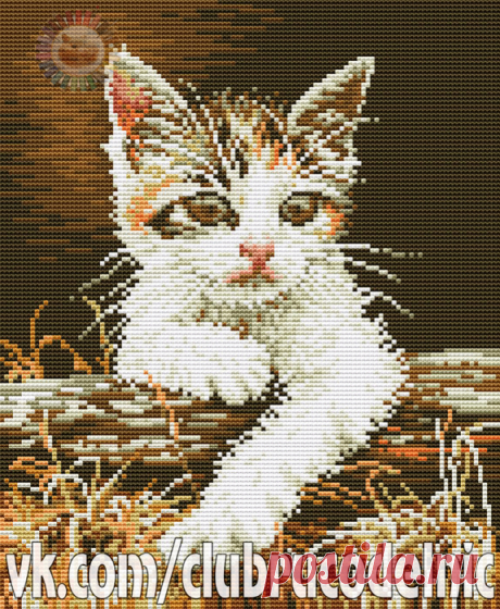 ВЫШИВКА-Cat